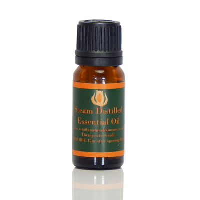 Black Spruce Essential Oil