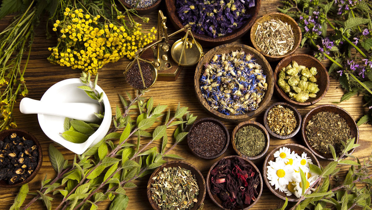 SELF-HEALING HERBAL CONSULTATION