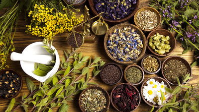 SELF-HEALING HERBAL CONSULTATION